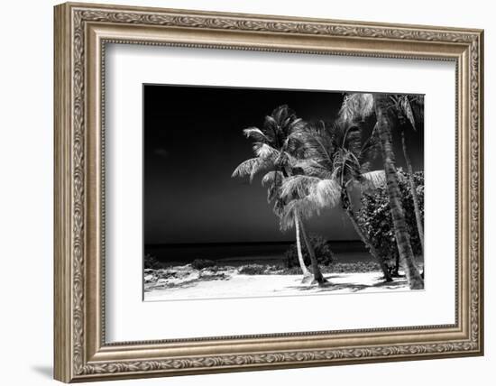 Palms on a White Sand Beach in Key West - Florida-Philippe Hugonnard-Framed Photographic Print