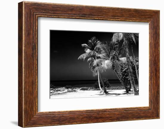 Palms on a White Sand Beach in Key West - Florida-Philippe Hugonnard-Framed Photographic Print