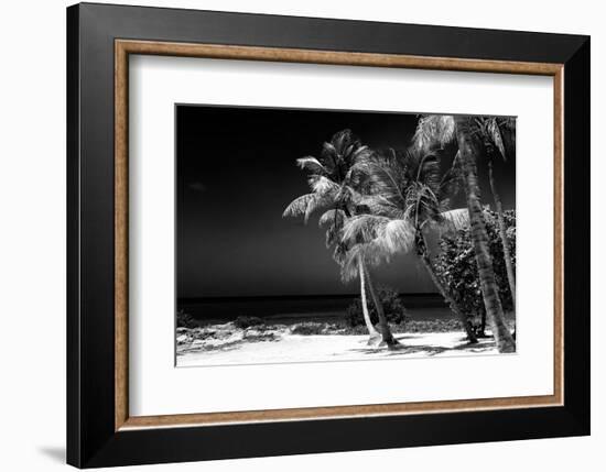 Palms on a White Sand Beach in Key West - Florida-Philippe Hugonnard-Framed Photographic Print