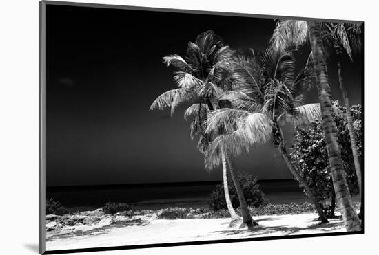 Palms on a White Sand Beach in Key West - Florida-Philippe Hugonnard-Mounted Photographic Print