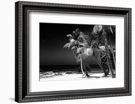 Palms on a White Sand Beach in Key West - Florida-Philippe Hugonnard-Framed Photographic Print