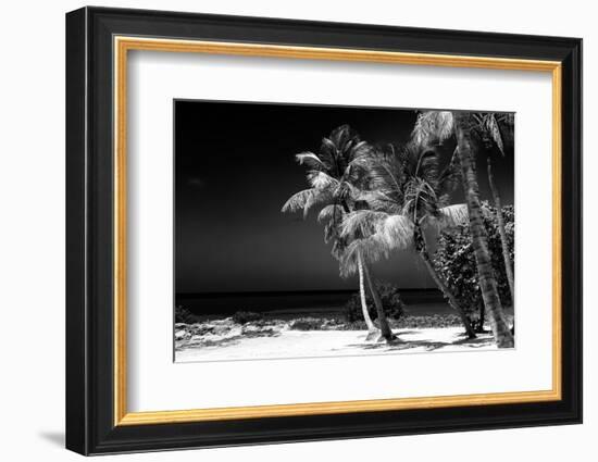 Palms on a White Sand Beach in Key West - Florida-Philippe Hugonnard-Framed Photographic Print