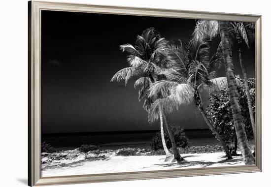 Palms on a White Sand Beach in Key West - Florida-Philippe Hugonnard-Framed Photographic Print