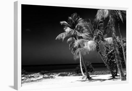 Palms on a White Sand Beach in Key West - Florida-Philippe Hugonnard-Framed Photographic Print