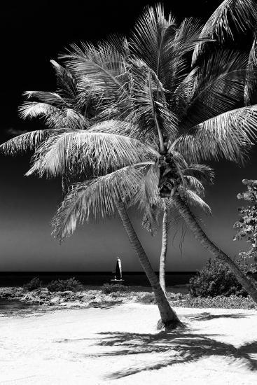 'Palms on a White Sand Beach in Key West - Florida' Photographic Print ...