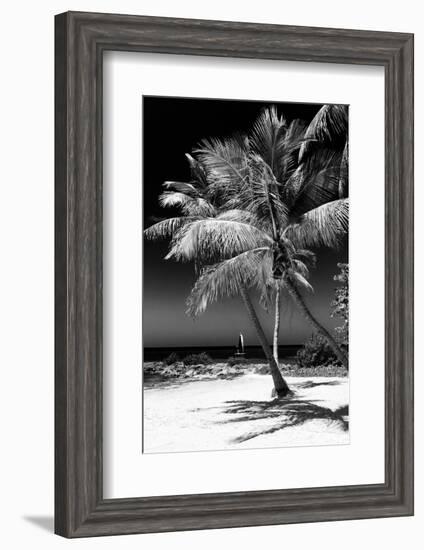 Palms on a White Sand Beach in Key West - Florida-Philippe Hugonnard-Framed Photographic Print