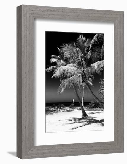 Palms on a White Sand Beach in Key West - Florida-Philippe Hugonnard-Framed Photographic Print