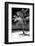 Palms on a White Sand Beach in Key West - Florida-Philippe Hugonnard-Framed Photographic Print