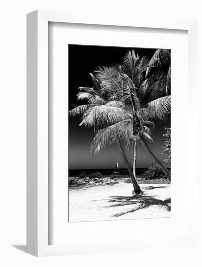 Palms on a White Sand Beach in Key West - Florida-Philippe Hugonnard-Framed Photographic Print