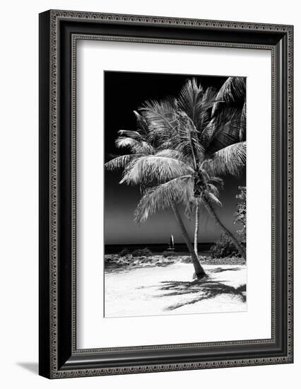 Palms on a White Sand Beach in Key West - Florida-Philippe Hugonnard-Framed Photographic Print