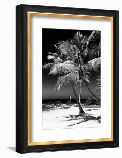 Palms on a White Sand Beach in Key West - Florida-Philippe Hugonnard-Framed Photographic Print