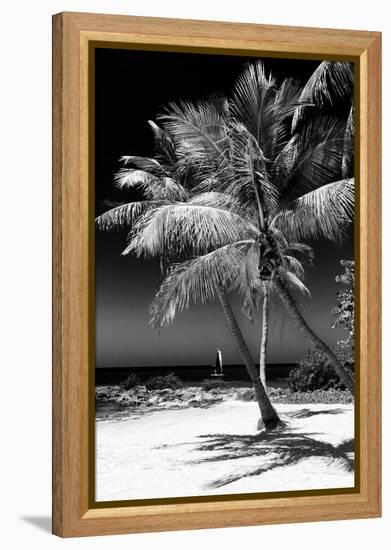 Palms on a White Sand Beach in Key West - Florida-Philippe Hugonnard-Framed Premier Image Canvas