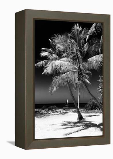 Palms on a White Sand Beach in Key West - Florida-Philippe Hugonnard-Framed Premier Image Canvas