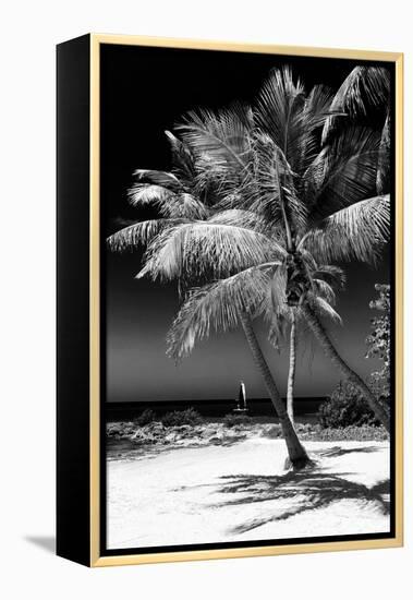 Palms on a White Sand Beach in Key West - Florida-Philippe Hugonnard-Framed Premier Image Canvas