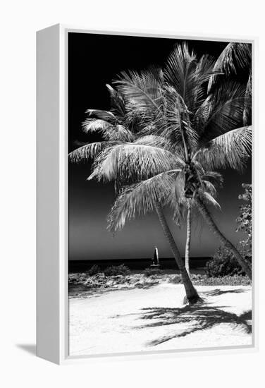 Palms on a White Sand Beach in Key West - Florida-Philippe Hugonnard-Framed Premier Image Canvas