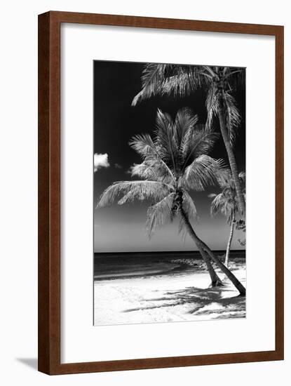 Palms on a White Sand Beach in Key West - Florida-Philippe Hugonnard-Framed Photographic Print