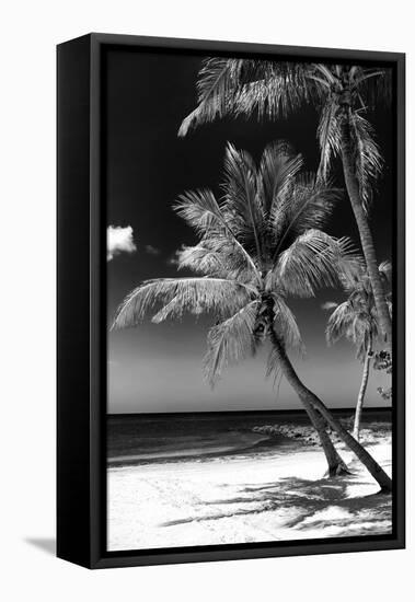 Palms on a White Sand Beach in Key West - Florida-Philippe Hugonnard-Framed Premier Image Canvas