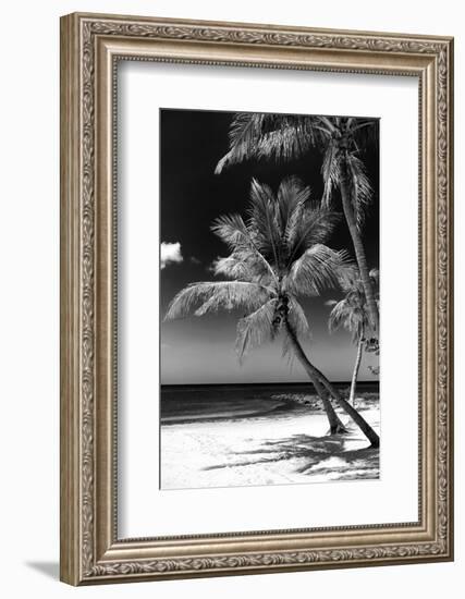 Palms on a White Sand Beach in Key West - Florida-Philippe Hugonnard-Framed Photographic Print