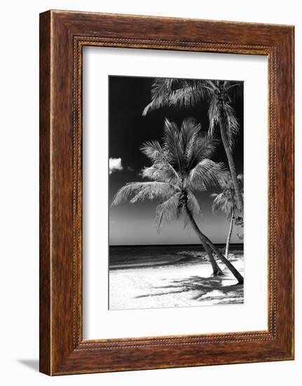 Palms on a White Sand Beach in Key West - Florida-Philippe Hugonnard-Framed Photographic Print