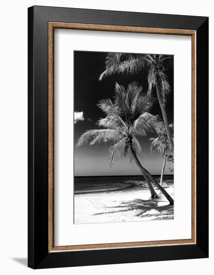 Palms on a White Sand Beach in Key West - Florida-Philippe Hugonnard-Framed Photographic Print