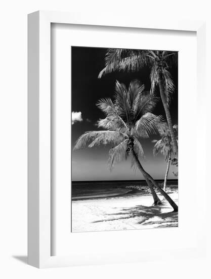 Palms on a White Sand Beach in Key West - Florida-Philippe Hugonnard-Framed Photographic Print