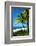 Palms on a White Sand Beach in Key West - Florida-Philippe Hugonnard-Framed Photographic Print