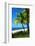 Palms on a White Sand Beach in Key West - Florida-Philippe Hugonnard-Framed Photographic Print