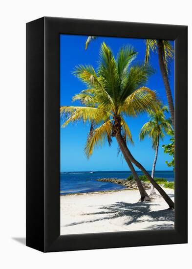 Palms on a White Sand Beach in Key West - Florida-Philippe Hugonnard-Framed Premier Image Canvas