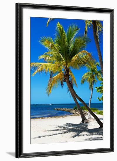 Palms on a White Sand Beach in Key West - Florida-Philippe Hugonnard-Framed Photographic Print