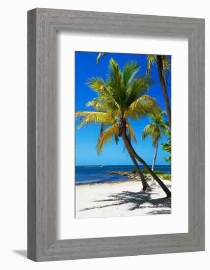 Palms on a White Sand Beach in Key West - Florida-Philippe Hugonnard-Framed Photographic Print