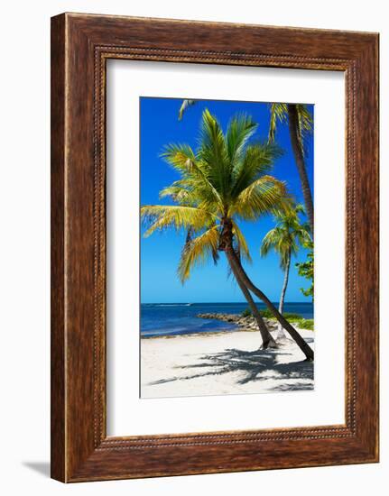 Palms on a White Sand Beach in Key West - Florida-Philippe Hugonnard-Framed Photographic Print