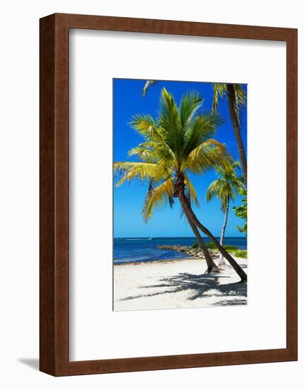 Palms on a White Sand Beach in Key West - Florida-Philippe Hugonnard-Framed Photographic Print