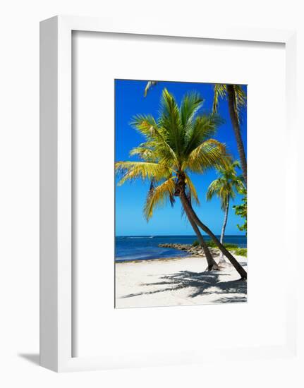 Palms on a White Sand Beach in Key West - Florida-Philippe Hugonnard-Framed Photographic Print