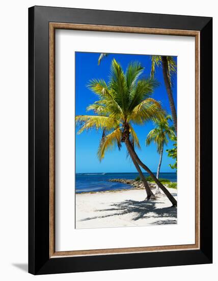 Palms on a White Sand Beach in Key West - Florida-Philippe Hugonnard-Framed Photographic Print