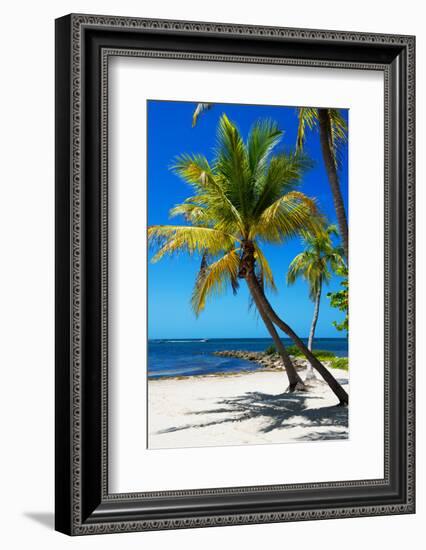 Palms on a White Sand Beach in Key West - Florida-Philippe Hugonnard-Framed Photographic Print