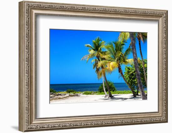 Palms on a White Sand Beach in Key West - Florida-Philippe Hugonnard-Framed Photographic Print