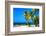 Palms on a White Sand Beach in Key West - Florida-Philippe Hugonnard-Framed Photographic Print