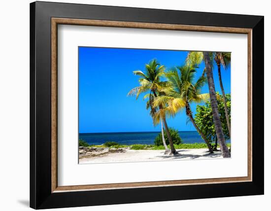 Palms on a White Sand Beach in Key West - Florida-Philippe Hugonnard-Framed Photographic Print