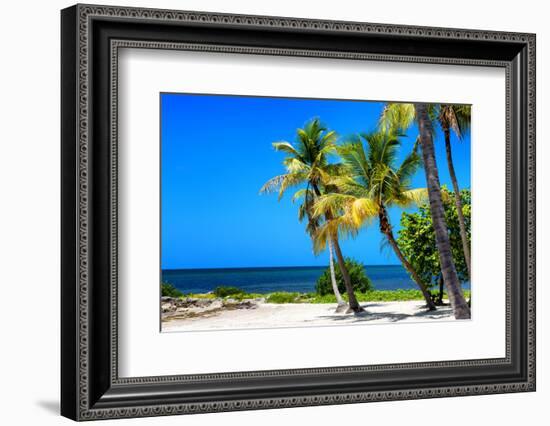 Palms on a White Sand Beach in Key West - Florida-Philippe Hugonnard-Framed Photographic Print