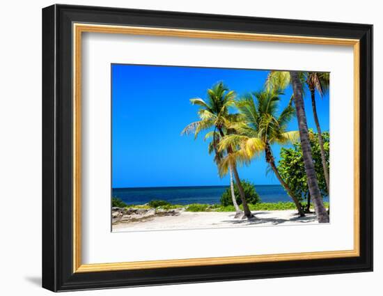 Palms on a White Sand Beach in Key West - Florida-Philippe Hugonnard-Framed Photographic Print