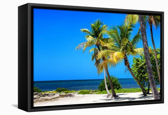 Palms on a White Sand Beach in Key West - Florida-Philippe Hugonnard-Framed Premier Image Canvas