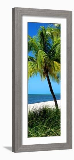 Palms on a White Sand Beach in Key West - Florida-Philippe Hugonnard-Framed Photographic Print