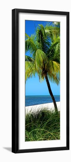 Palms on a White Sand Beach in Key West - Florida-Philippe Hugonnard-Framed Photographic Print