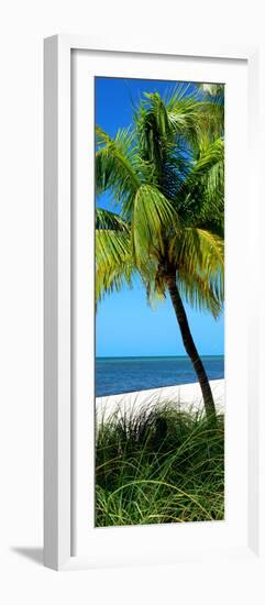 Palms on a White Sand Beach in Key West - Florida-Philippe Hugonnard-Framed Photographic Print