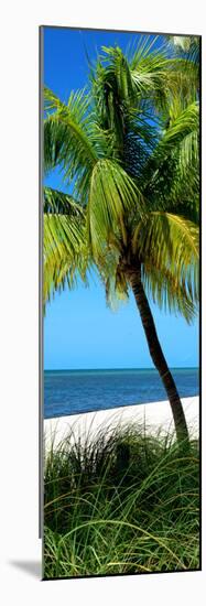 Palms on a White Sand Beach in Key West - Florida-Philippe Hugonnard-Mounted Photographic Print