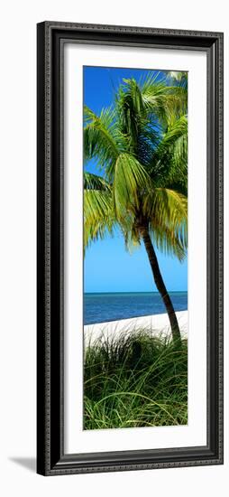 Palms on a White Sand Beach in Key West - Florida-Philippe Hugonnard-Framed Photographic Print