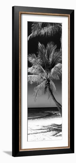 Palms on a White Sand Beach in Key West - Florida-Philippe Hugonnard-Framed Photographic Print