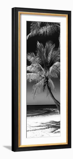 Palms on a White Sand Beach in Key West - Florida-Philippe Hugonnard-Framed Photographic Print