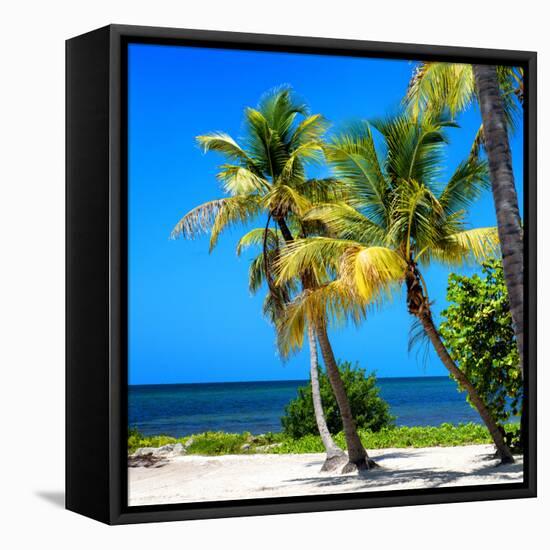 Palms on a White Sand Beach in Key West - Florida-Philippe Hugonnard-Framed Premier Image Canvas