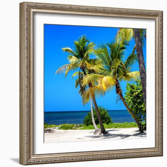 Palms on a White Sand Beach in Key West - Florida-Philippe Hugonnard-Framed Photographic Print